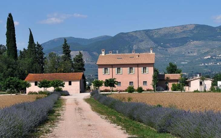 Country House Casco Dell'Acqua Trevi Kültér fotó