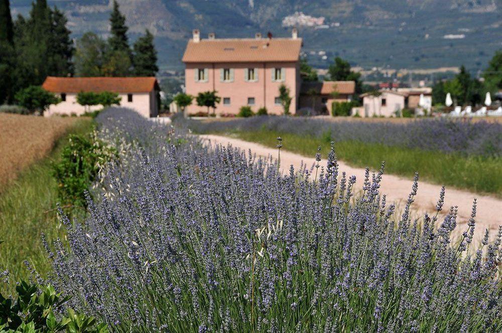 Country House Casco Dell'Acqua Trevi Kültér fotó